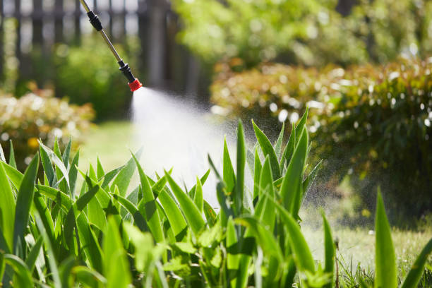 24/7 Emergency Termite Control experts in Danielson, CT