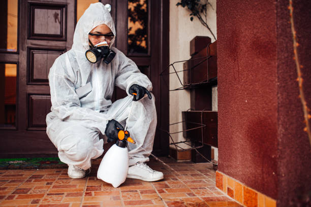 Reliable Termite Control contractor in Danielson, CT by Nex Pest Control