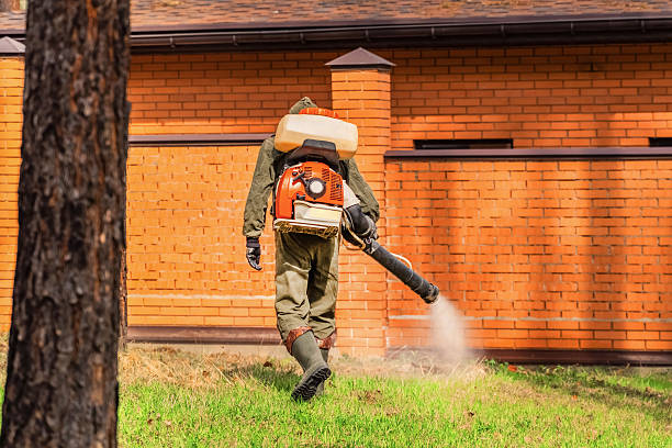 Trusted Ant Control service in Danielson, CT - Nex Pest Control